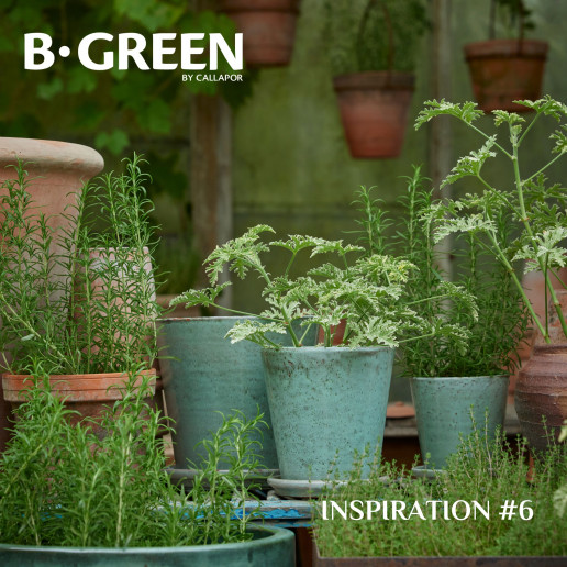 Inspiration #6