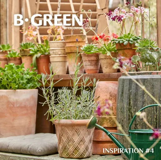 Inspiration #4