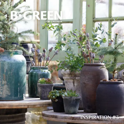 Inspiration #3
