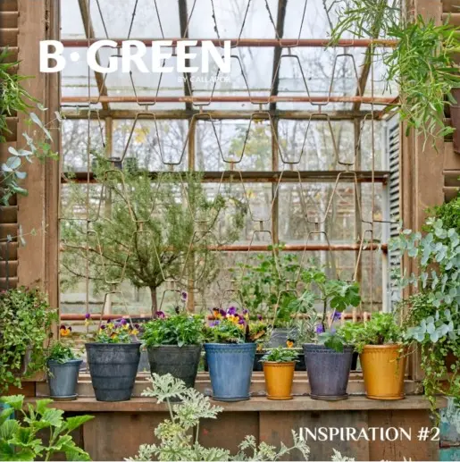 Inspiration #2