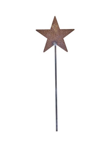 VERONICA - IRON STAR ON STICK